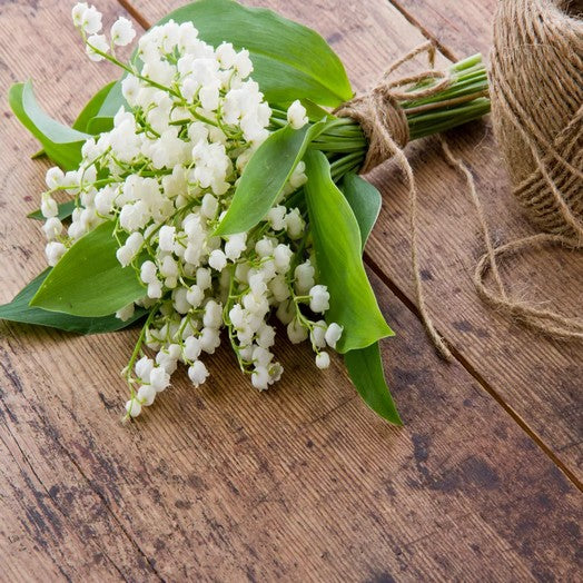 Sachet de 3 fondants muguet